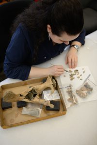 Ashley inspecting fossils at the lab