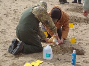 Two people at an outdoor site, pouring traxtone powder