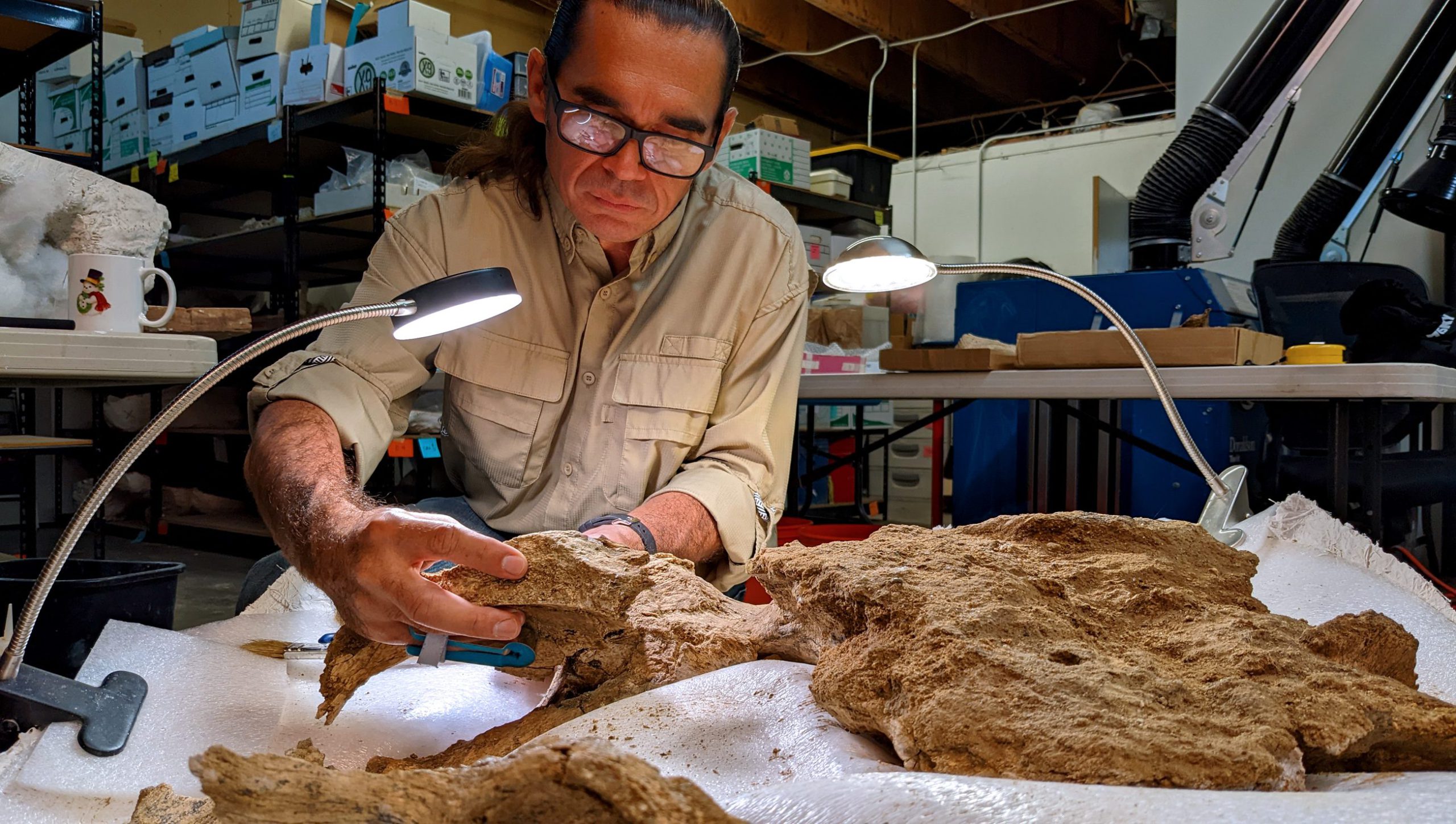 A Cogstone archaeologist repairing excavated sloth remains.