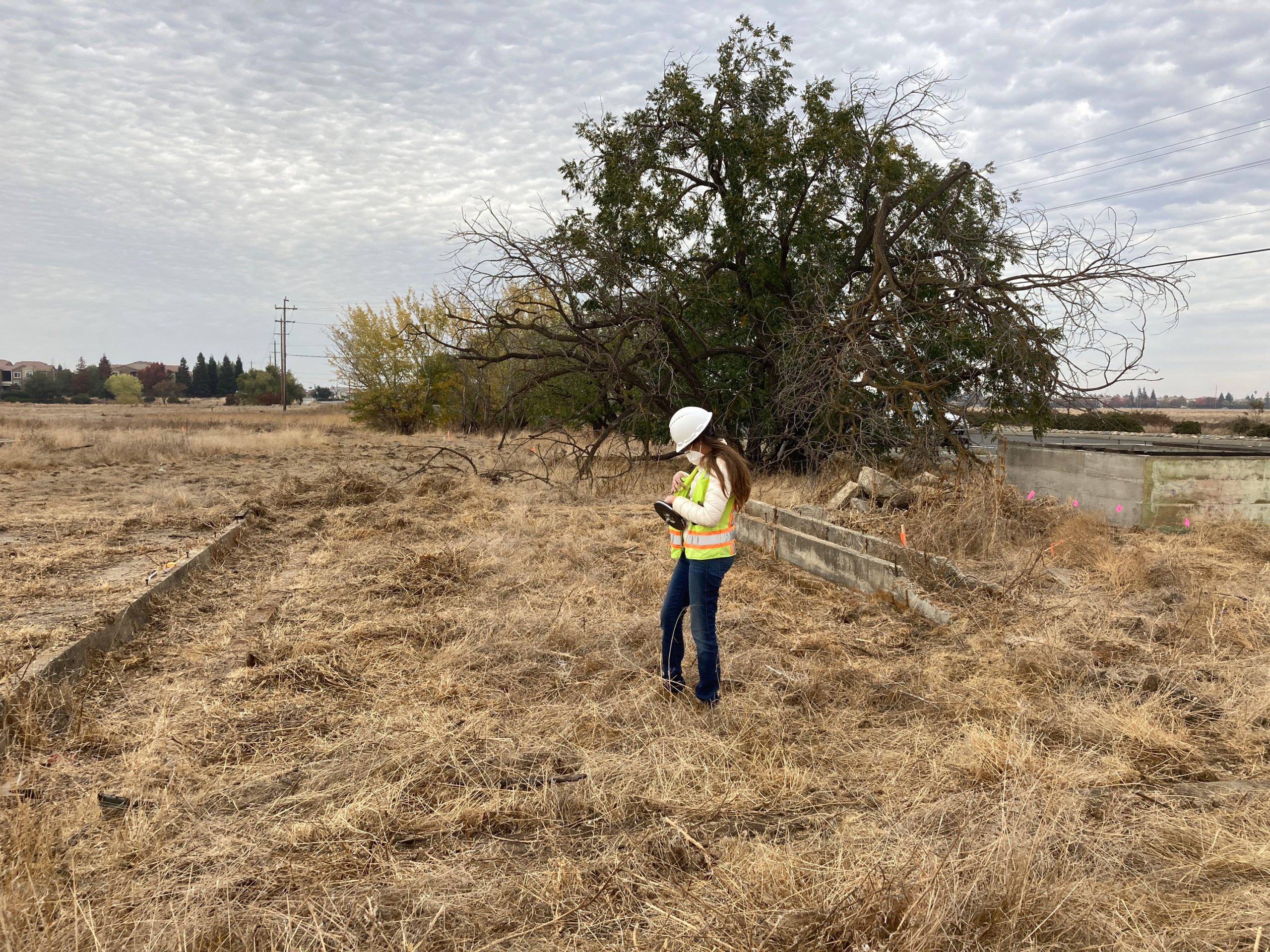 A Cogstone technician conducting survey work in an open patch of land.