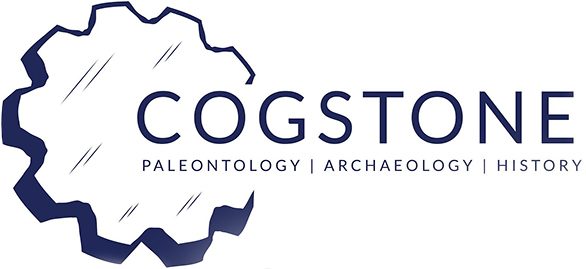 Cogstone Logo